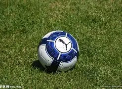 Java,校园篮球赛,事管理系统,壹号娱乐大舞台,壹号娱乐网页版,壹号娱乐网址,壹号娱乐官网