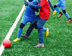 紫薇潜力无,教练强调成,长与阵容调,壹号娱乐大舞台,壹号娱乐网页版,壹号娱乐网址,壹号娱乐官网