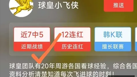 独家福利赛事比分大：详尽胜负分析指南